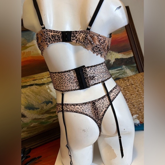 3pc Victoria’s Secret Very Sexy Sheer Leopard Bra‎ Waist Cincher Garter & Thong - Picture 7 of 17